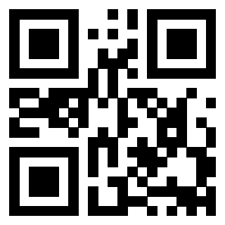 Il Qr Code di 3911211033
