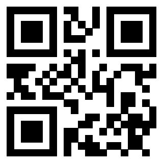 3911211053 Qr Code associato