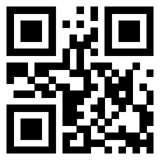 3911211066 Qr Code associato