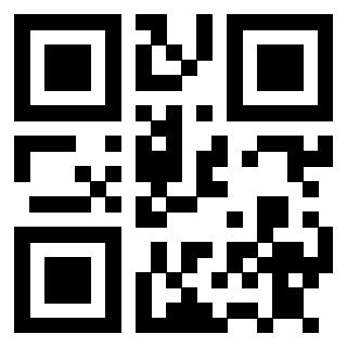 3911211133 - Immagine del QrCode associato