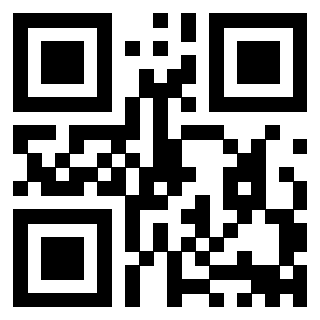 3911211166 QrCode associato
