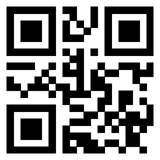 Il Qr Code di 3911211239