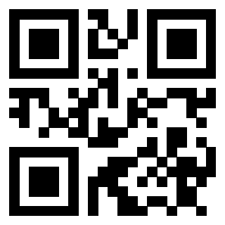 3911211244 - Immagine del Qr Code associato