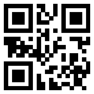 3911211343 QrCode associato