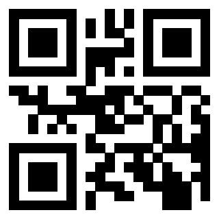 3911211366 - Immagine del QrCode