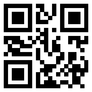 Il Qr Code di 3911211948