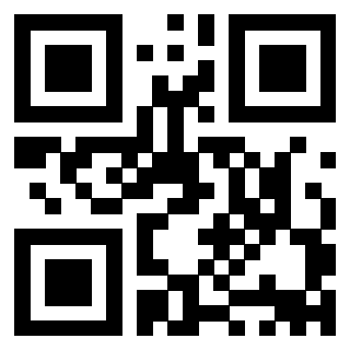 3911212062 - Immagine del QrCode