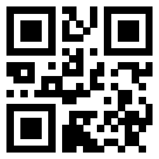3911212133 - Immagine del QrCode