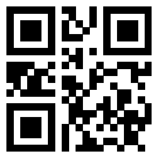 3911212205 - Immagine del QrCode associato