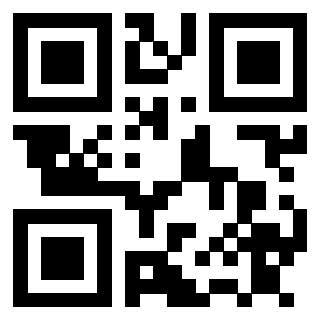 QrCode di 3911212492
