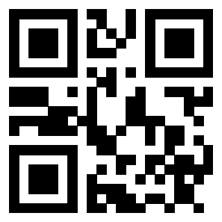3911212493 Qr Code associato