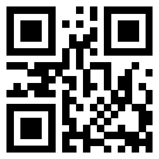 3911212560 QrCode associato