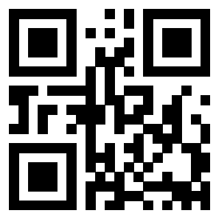 Il Qr Code di 3911212576