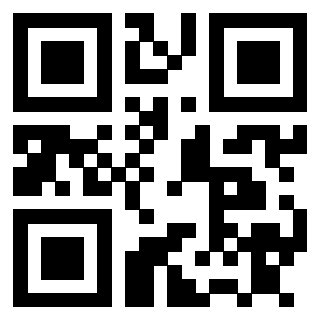 Il Qr Code di 3911249727
