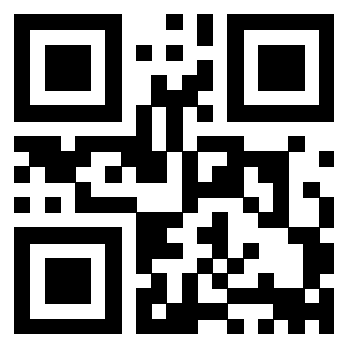Il Qr Code di 3911249856