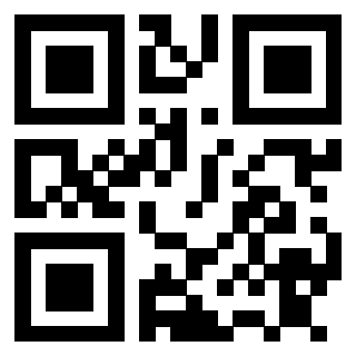 Il Qr Code di 3911250030