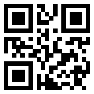 Il Qr Code di 3911293634
