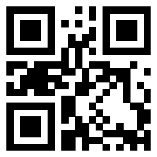 Il Qr Code di 3911293824
