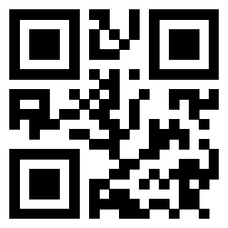 Il Qr Code di 3911293924