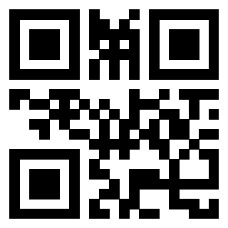 Il Qr Code di 3911294048