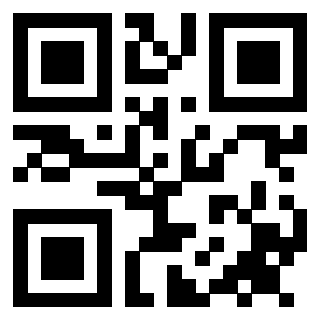 Il Qr Code di 3911368046