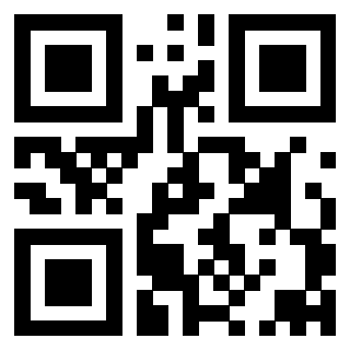 Il Qr Code di 3911368287