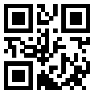 Il Qr Code di 3911368347