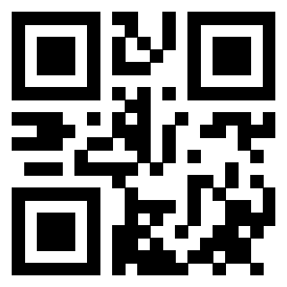 Il Qr Code di 3911368687
