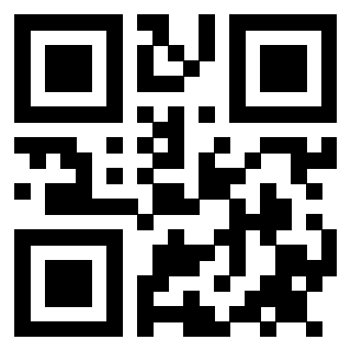 3911371095 QrCode associato
