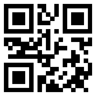 Il Qr Code di 3911371336