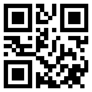 Il Qr Code di 3911431309