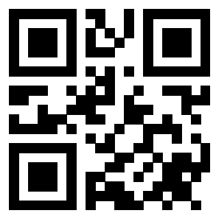 Il Qr Code di 3911431324
