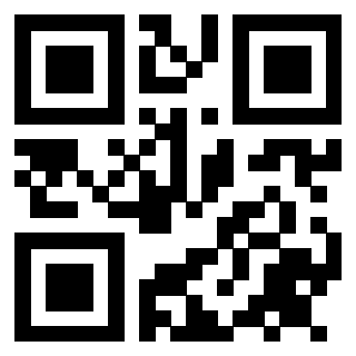 Il Qr Code di 3911475709