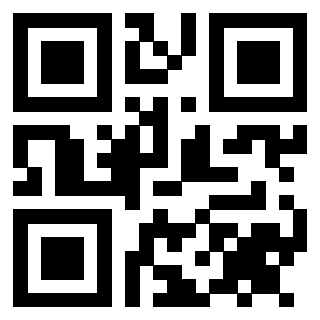 Il Qr Code di 3911643711