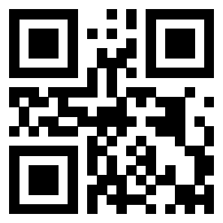 Il Qr Code di 3911791691