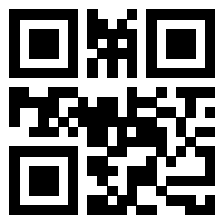 Il Qr Code di 3911792061