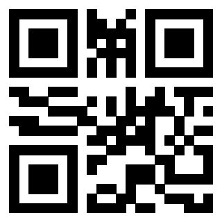 Il Qr Code di 3911852484