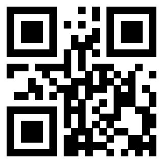 QrCode di 3911853095