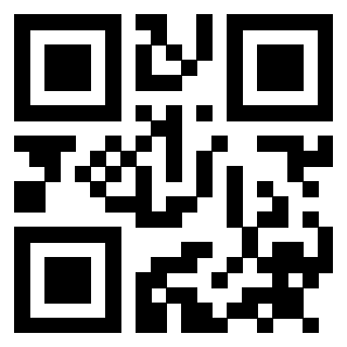Il Qr Code di 3911853302