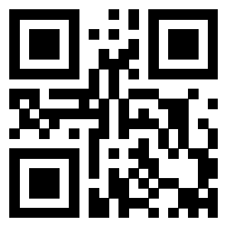 Il Qr Code di 3911861727