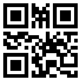 3911862110 Qr Code associato