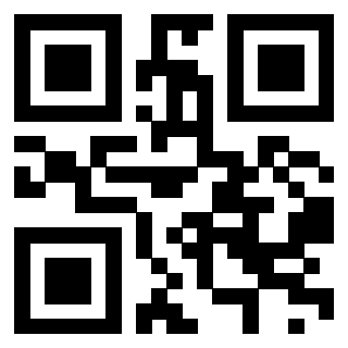 Il Qr Code di 3911862196
