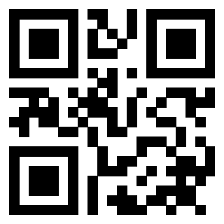 Il Qr Code di 3911867028