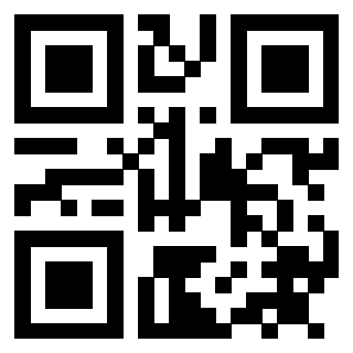 QrCode di 3911867106