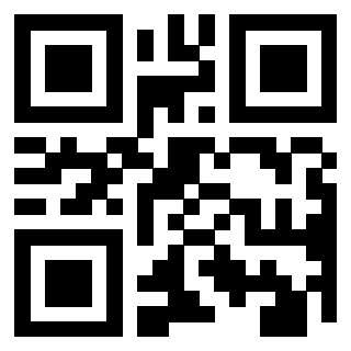 Il Qr Code di 3911885978