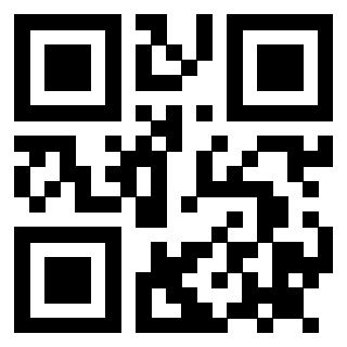 Il Qr Code di 3911910041