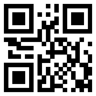 3911910058 QrCode associato
