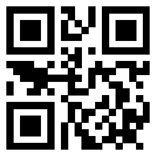 3911910284 Qr Code associato