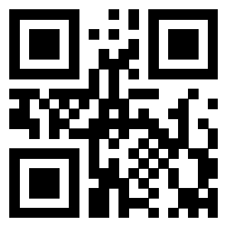 Il Qr Code di 3911910480
