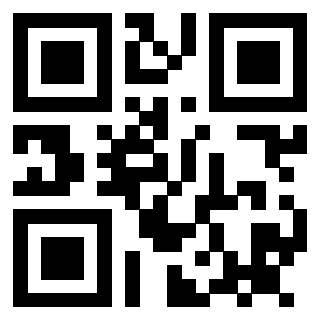 3911999309 QrCode associato